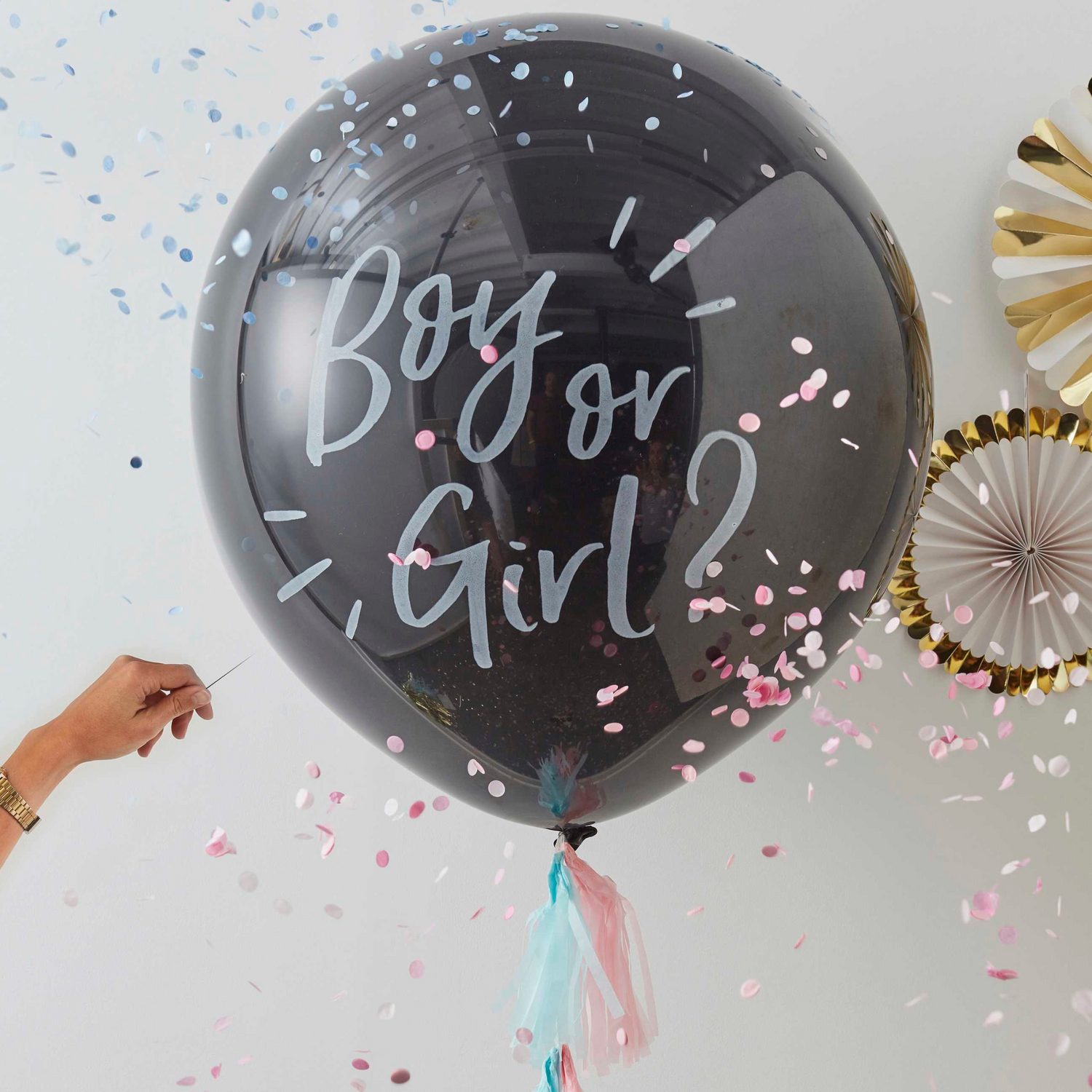 Baby Gender Reveal