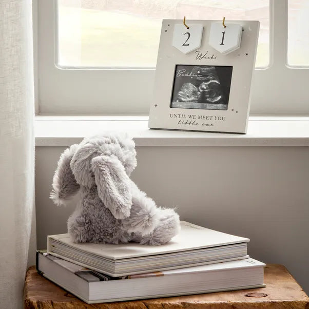 Baby Arrival Countdown Frame